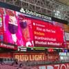 sundevilpride